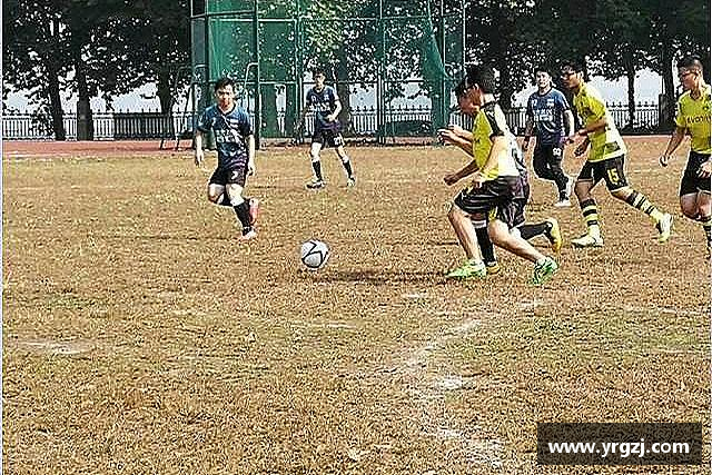 知道易游
